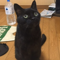 きよやま avatar