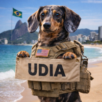 DieselDoggy avatar