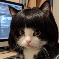 たぁかぁぁ avatar