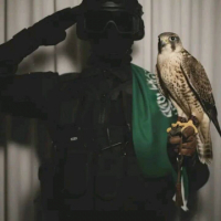1WALEED avatar