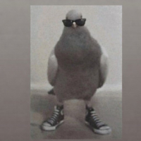 suspusu avatar