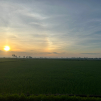 Nguyên nguyên nè avatar