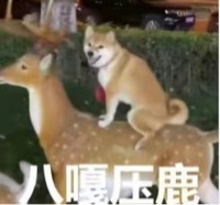 你的老师ᵂᵁ avatar