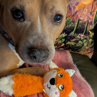 ChesterCheeto avatar