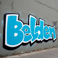 belden123 avatar