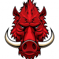 KOMANDAN POLENK avatar