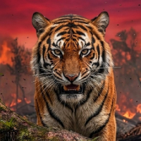 ＩＮＹＩＡＫ avatar