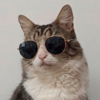O BR avatar