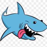 ShARK USA avatar