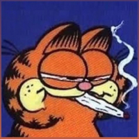 WannaFight avatar