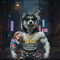 Mad Husky avatar